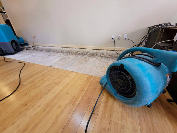 Professional Water Removal technician working in Camden, MI